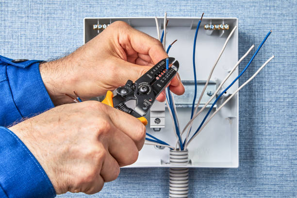 Best Electrical Maintenance Services  in Monticello, FL